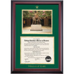 William and Mary Premier the Marshall-Wythe Statues Diploma Frame